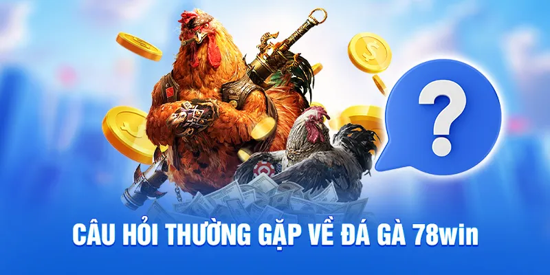 Câu hỏi thường gặp về đá gà 78WIN
